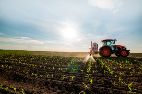 Обработка и выращивание риса с помощью технологии S.M.T.