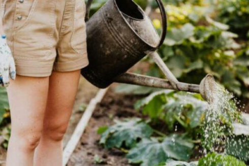 Память воды: волшебство ли это? Нет!